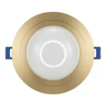 Foco Panel Led 9w Luz Fría Dorado Tipo Globo