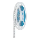 Cinta LED SMD2835, 12V 12W/M 120 LEDs/M Azul 5mt Neon 2G